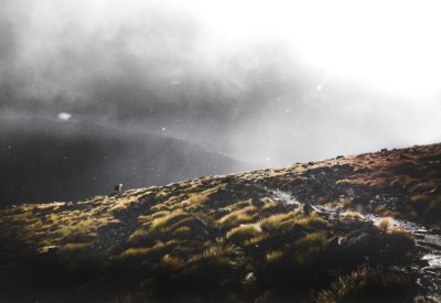 gloomy landscape image