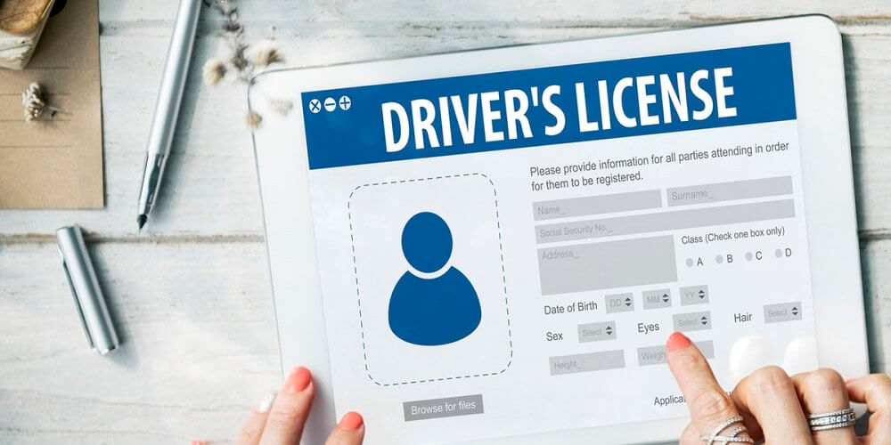 image of example drivers license