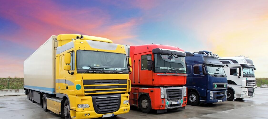 four hgvs